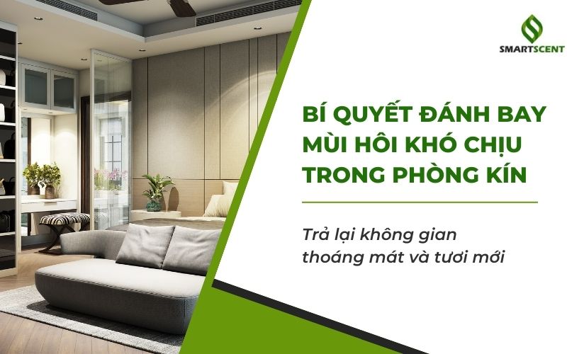 cách khử mùi hôi phòng kín