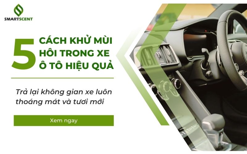 Khử mùi hôi trong xe ô tô