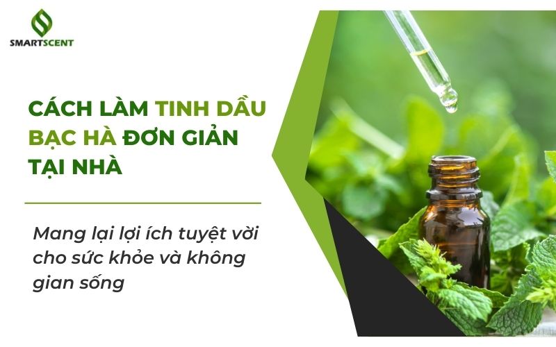 cách làm tinh dầu bạc hà