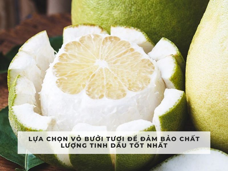cách làm tinh dầu bưởi tại nhà