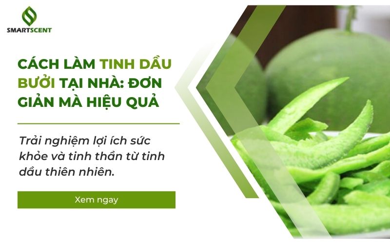 cách làm tinh dầu bưởi tại nhà