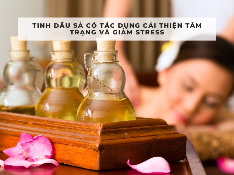 cách làm tinh dầu sả tại nhà