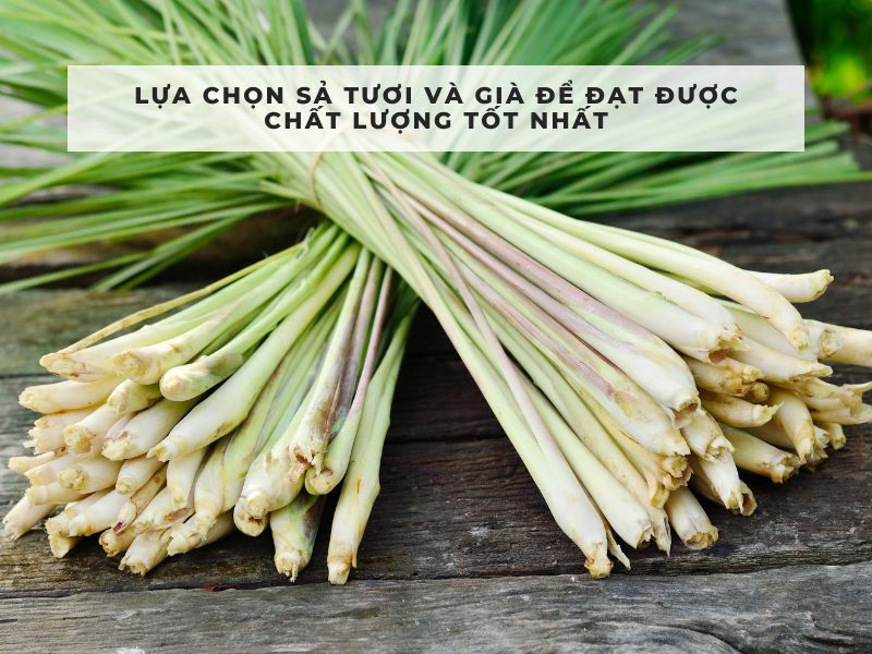 cách làm tinh dầu sả tại nhà