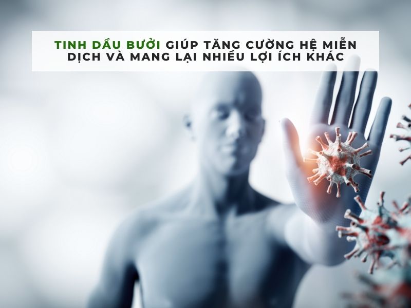 cách lấy tinh dâu bưởi