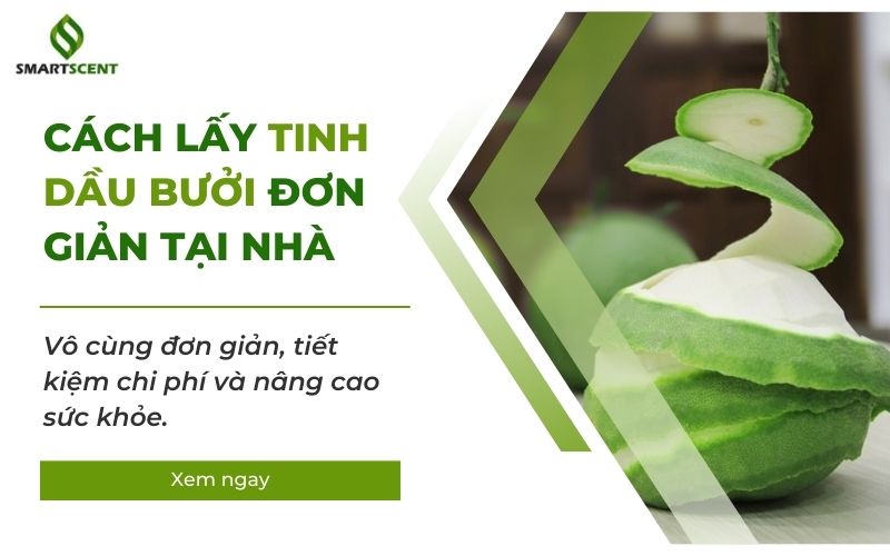 cách lấy tinh dâu bưởi