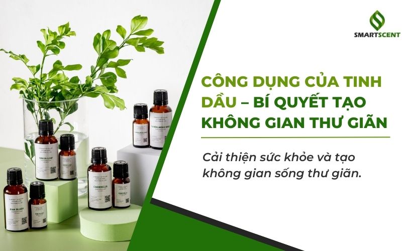 công dụng của tinh dầu