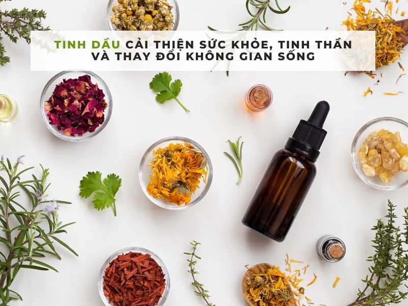 công dụng của tinh dầu