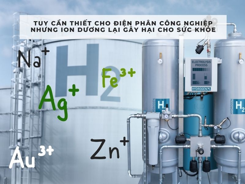 ion âm và ion dương là gì