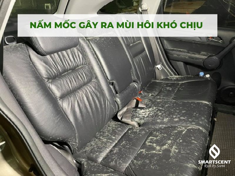 Khử mùi hôi trong xe ô tô