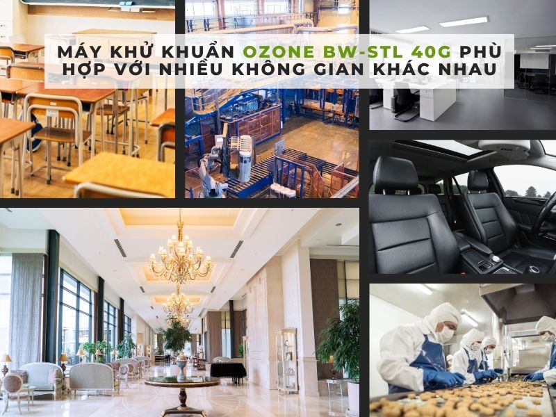 máy sục ozone