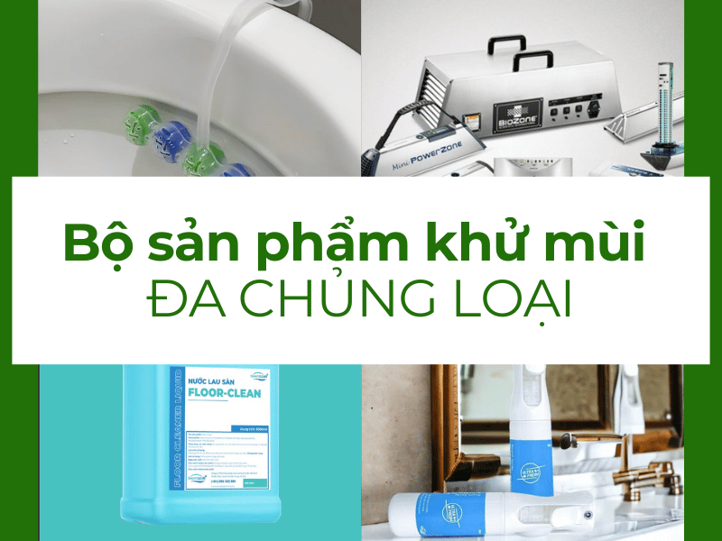 dich vu khu mui uy tin