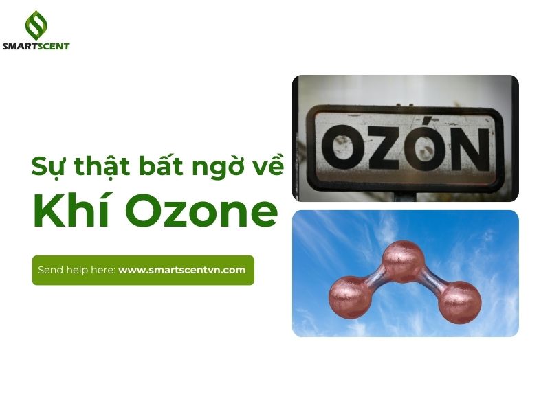 khí ozone có độc không