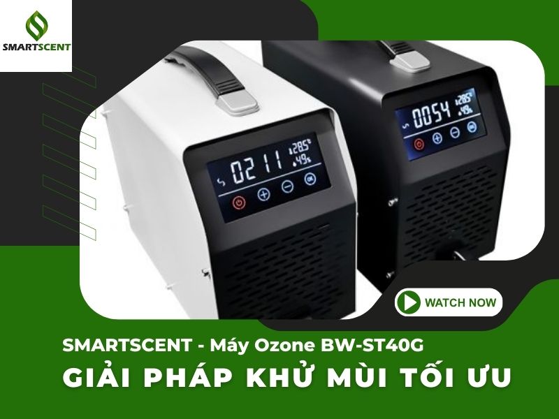 máy sục khí ozone