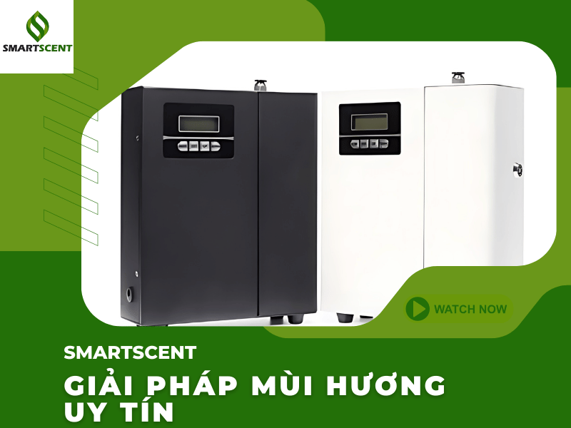 giai phap mui huong cho doanh nghiep