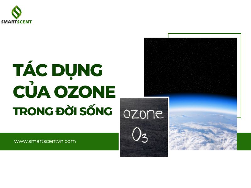 vì sao ozone có tính sát trùng