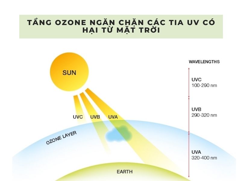 vai trò của tầng ozon