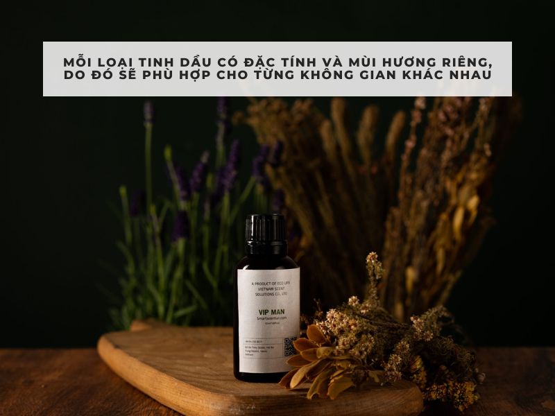 cách dùng tinh dầu thơm phòng