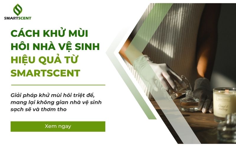 cách khử mùi hôi nhà vệ sinh