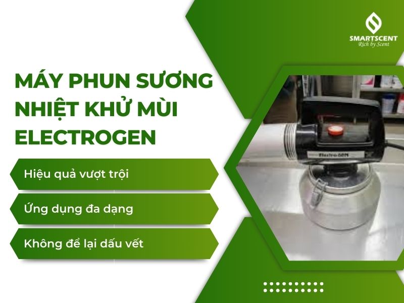 cách khử mùi hôi phòng kín