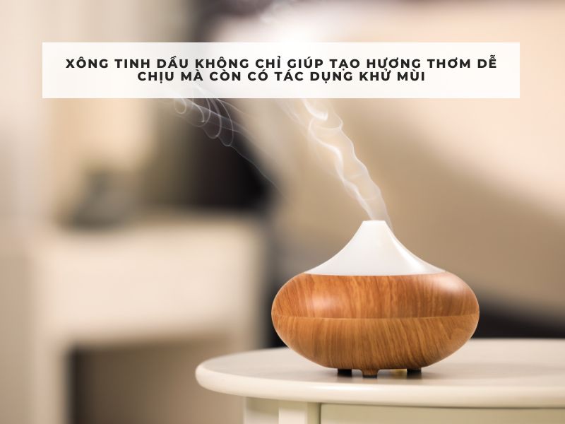 cách khử mùi hôi thối trong nhà