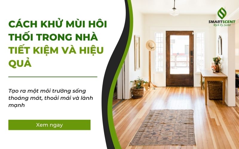 cách khử mùi hôi thối trong nhà