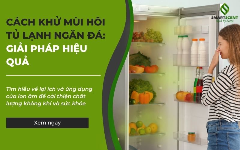 cách khử mùi hôi tủ lạnh ngăn đá