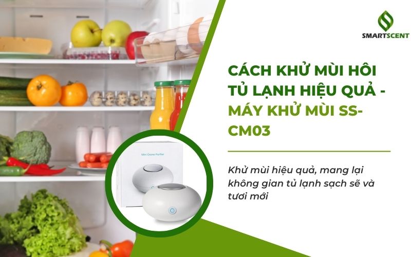 cách khử mùi hôi tủ lạnh