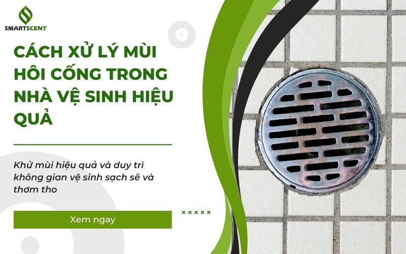 cách xử lý mùi hôi cống trong nhà vệ sinh