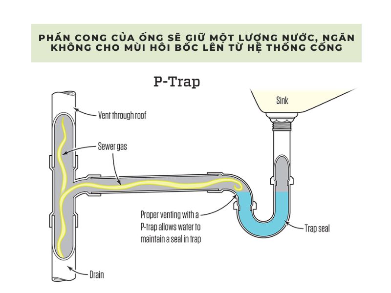 chặn mùi hôi cống