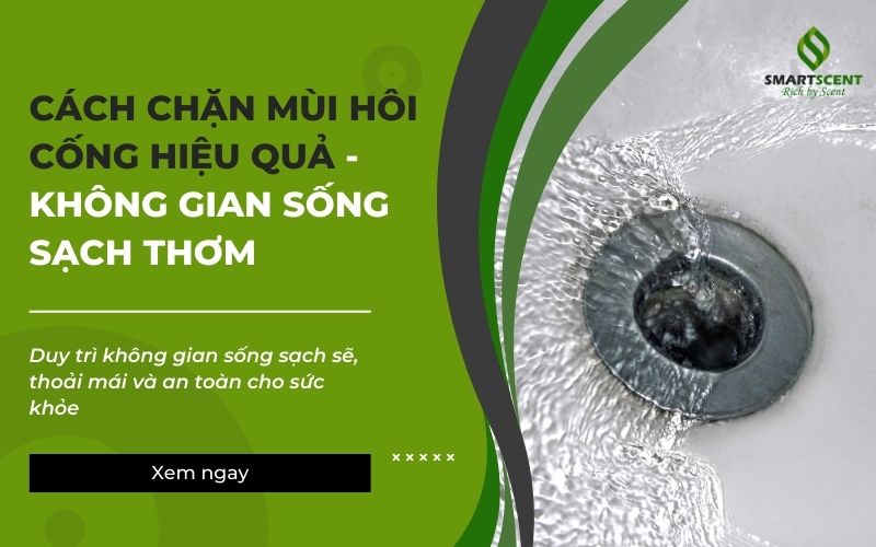 chặn mùi hôi cống