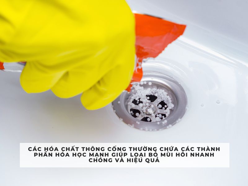 khử mùi hôi cống trong nhà vệ sinh