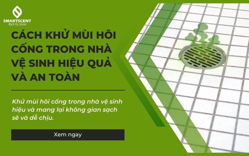 khử mùi hôi cống trong nhà vệ sinh