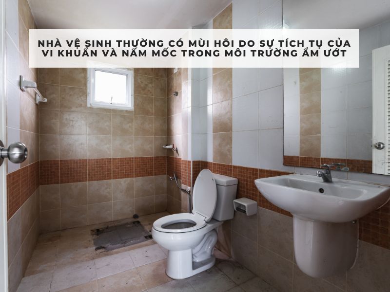 khử mùi hôi nhà vệ sinh