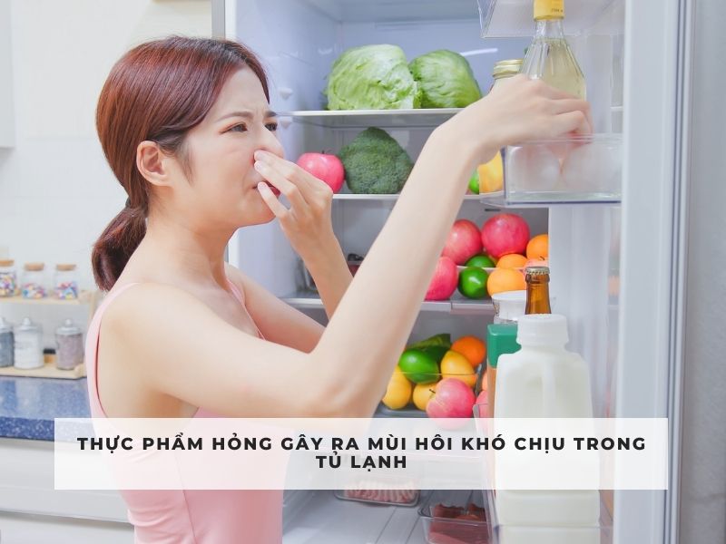 khử mùi hôi tủ lạnh