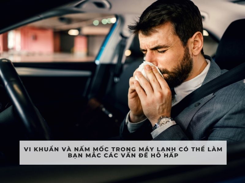 khử mùi máy lạnh xe hơi