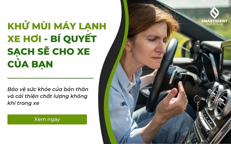 khử mùi máy lạnh xe hơi