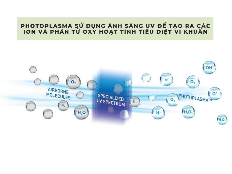 máy lọc không khí khử mùi