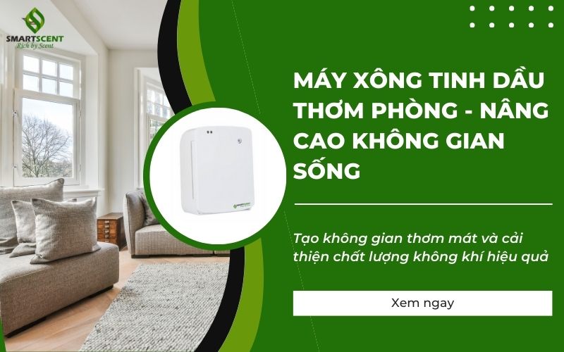 máy xông tinh dầu thơm phòng