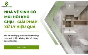 nhà vệ sinh có mùi hôi