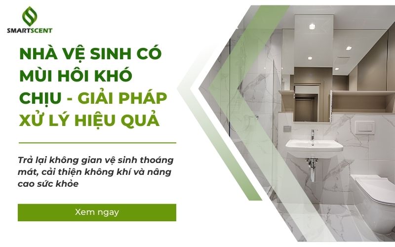 nhà vệ sinh có mùi hôi