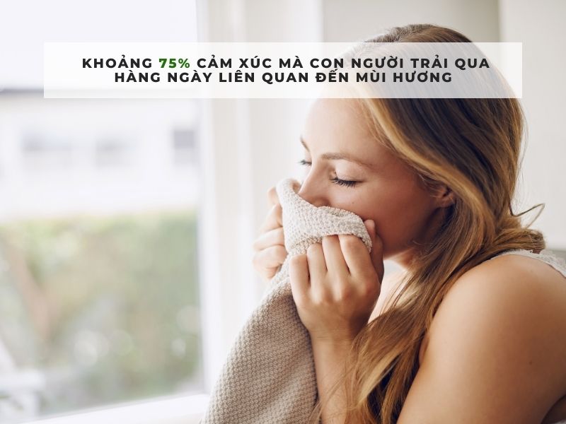 tái định vị thương hiệu