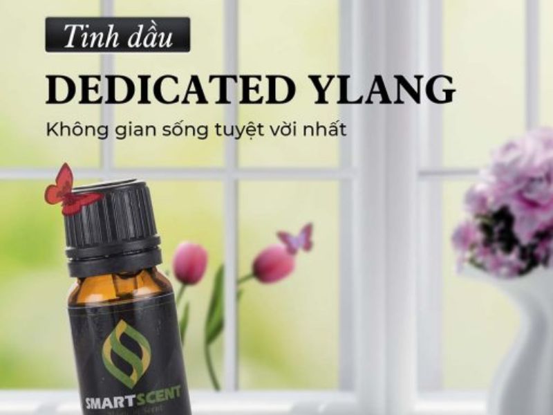 tinh dầu khuếch tán thơm phòng