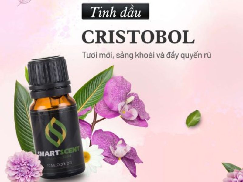 tinh dầu khuếch tán thơm phòng