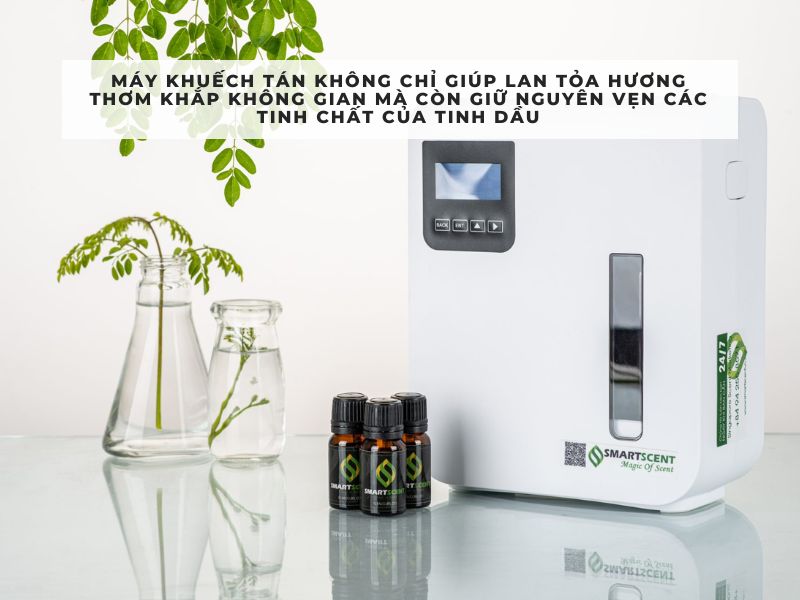 tinh dầu khuếch tán thơm phòng