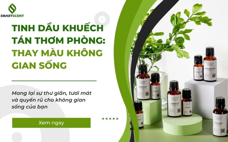 tinh dầu khuếch tán thơm phòng