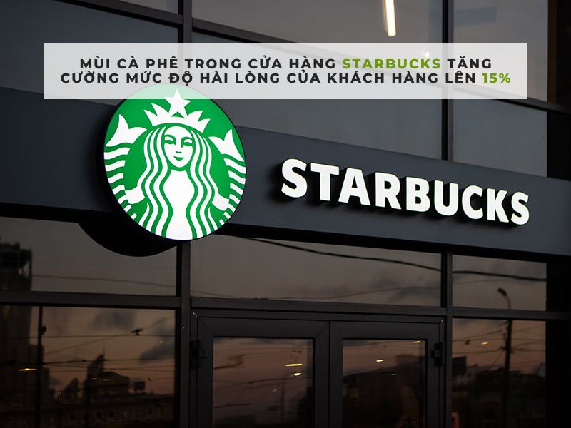 ví dụ về định vị thương hiệu