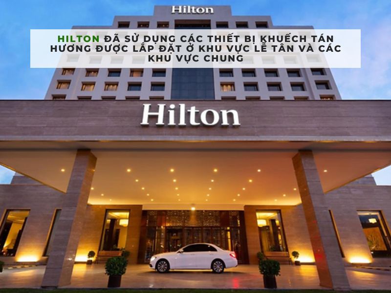 ví dụ về định vị thương hiệu