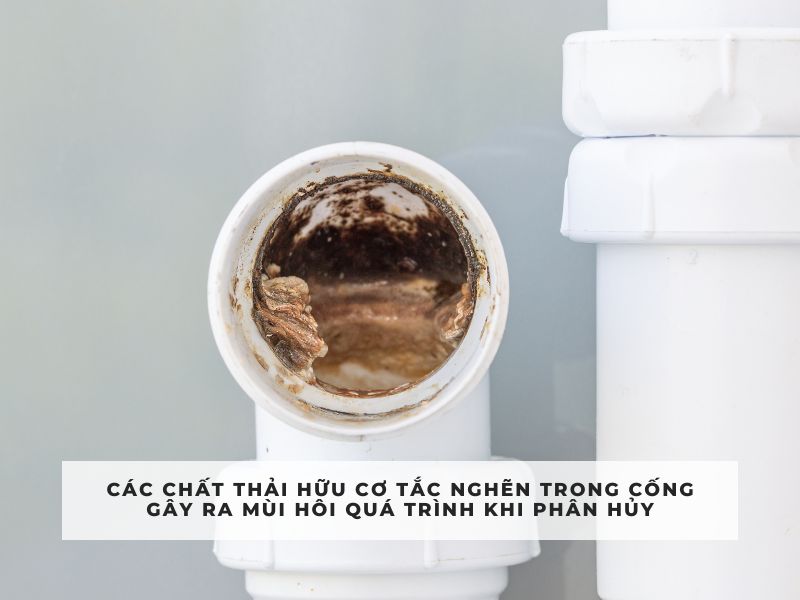 xử lý mùi hôi cống