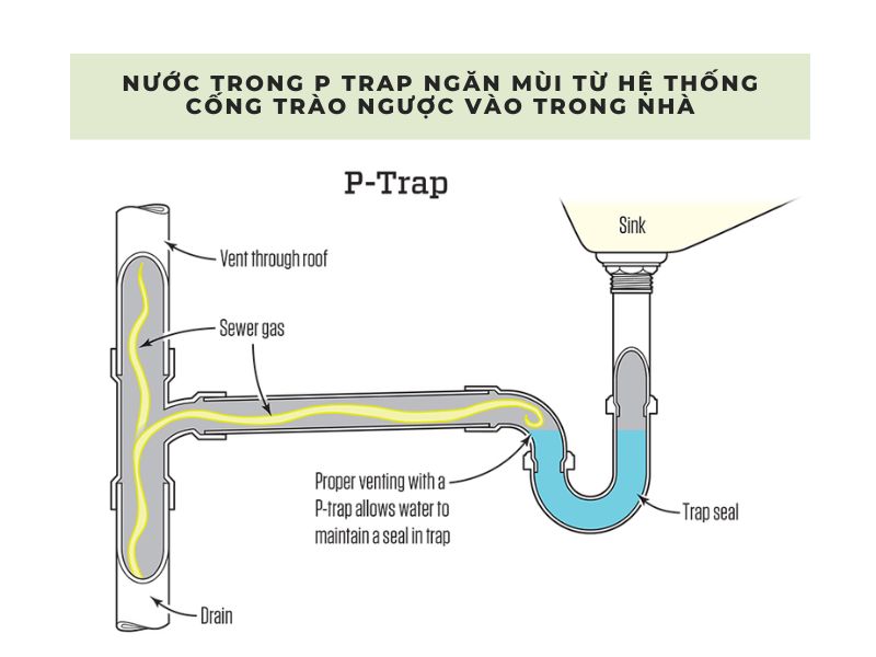 xử lý mùi hôi cống