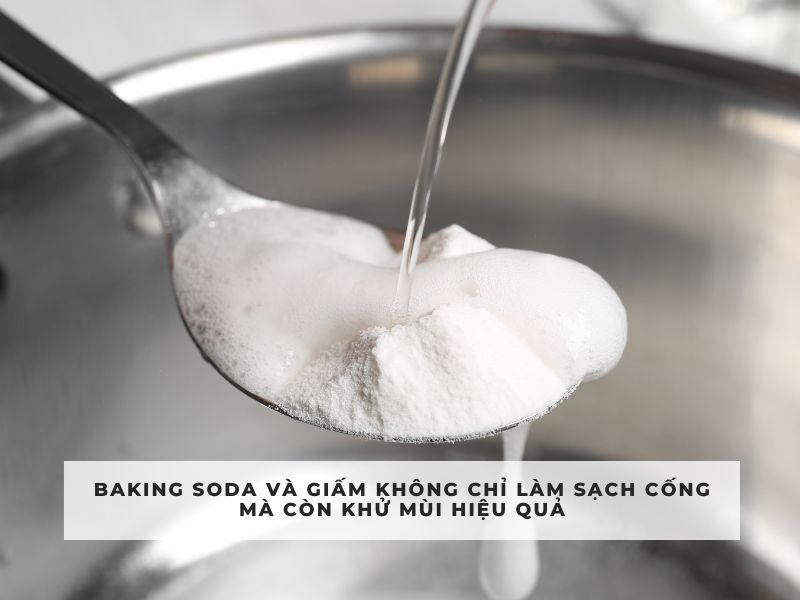 xử lý mùi hôi cống